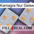 Kamagra Only Jelly 25